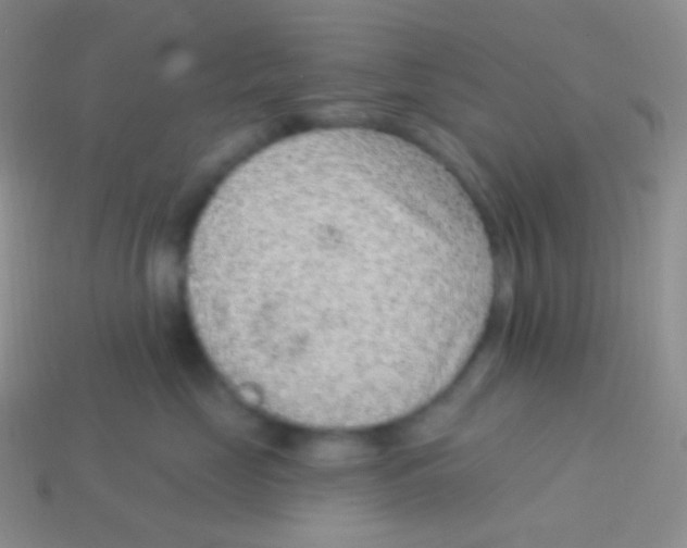 X0000113630669200910162017