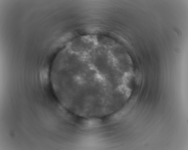 X0000113630670200910162017