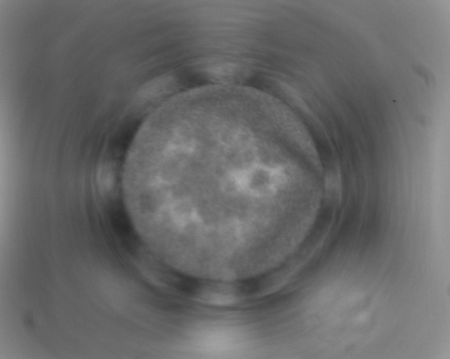 X0000113630671200910162017