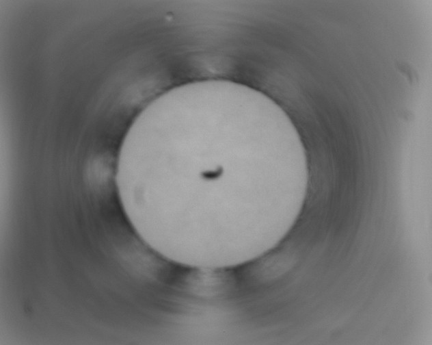 X0000113630672200910162017