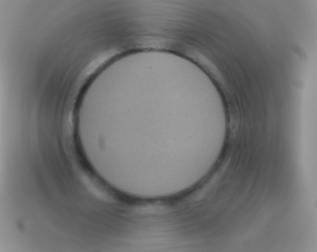 X0000113630674200910162016