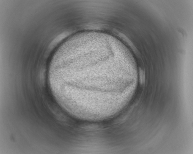 X0000113630675200910162016