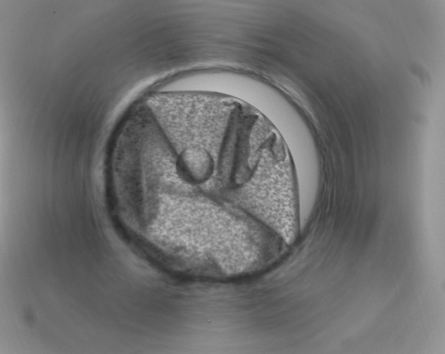 X0000113630676200910162016