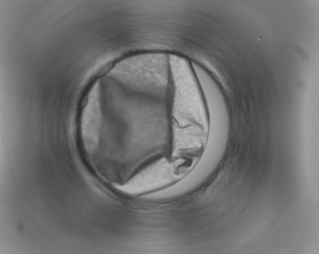 X0000113630677200910162016