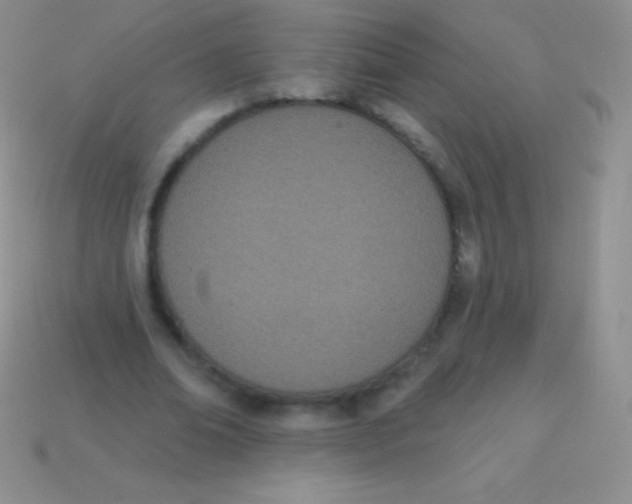 X0000113630678200910162016