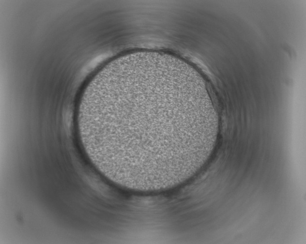 X0000113630679200910162016