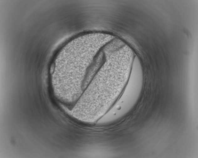 X0000113630680200910162016