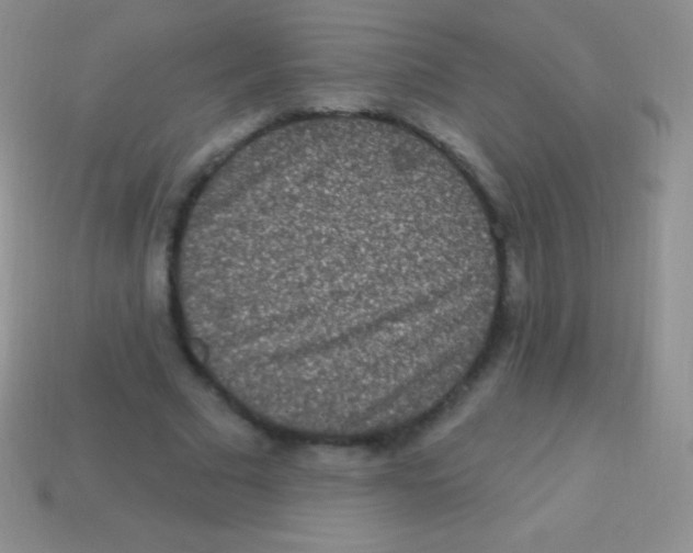 X0000113630681200910162016