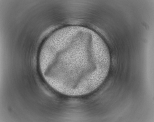 X0000113630682200910162016