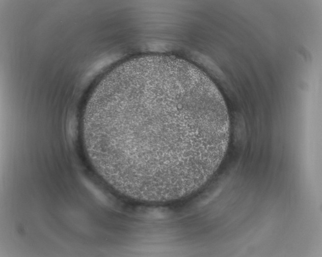 X0000113630683200910162016