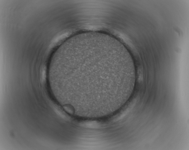 X0000113630685200910162016