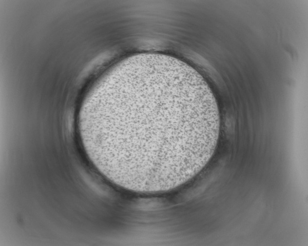 X0000113630686200910162016