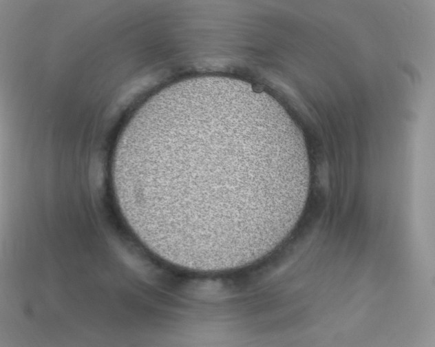 X0000113630687200910162016