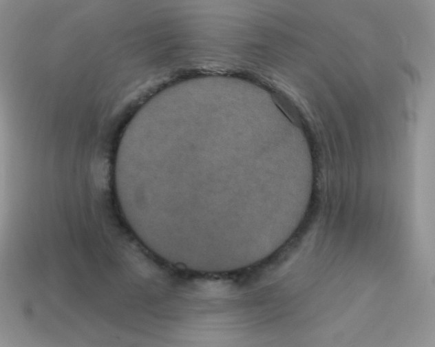 X0000113630689200910162016