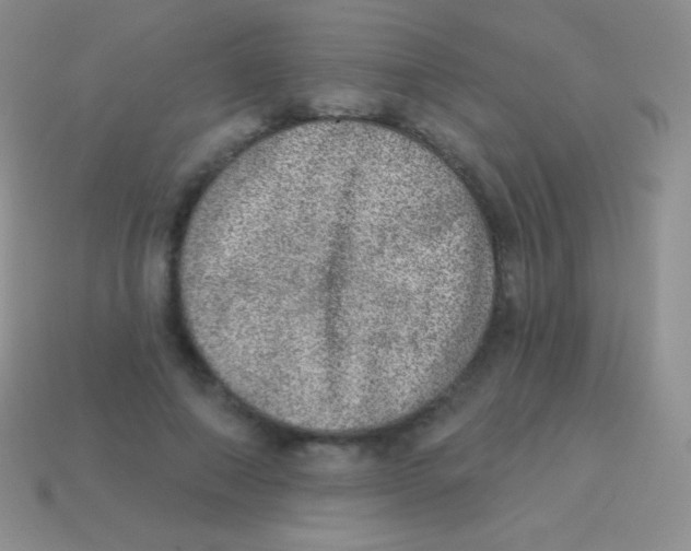 X0000113630690200910162016