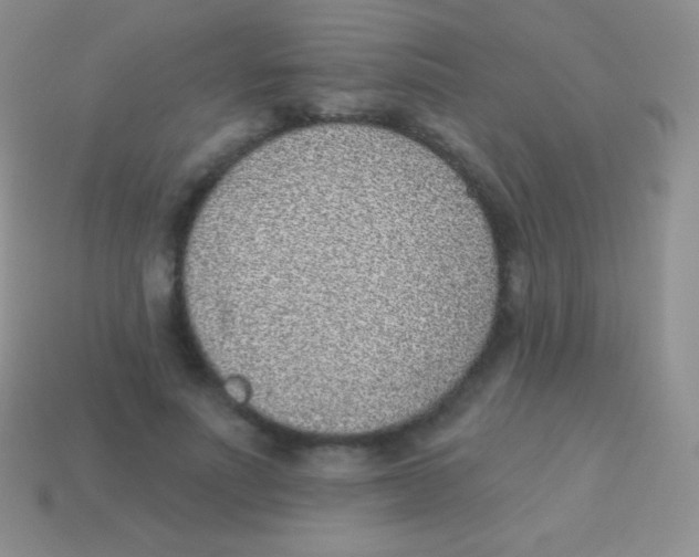 X0000113630691200910162016