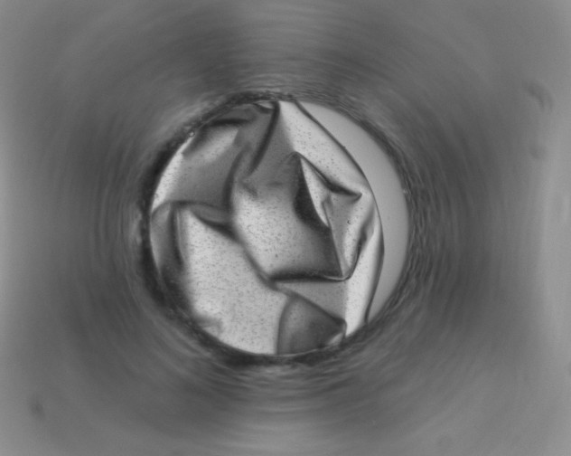 X0000113630692200910162016