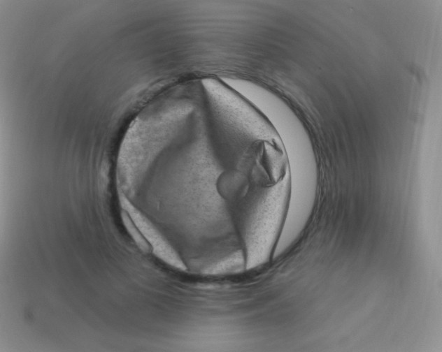 X0000113630693200910162016