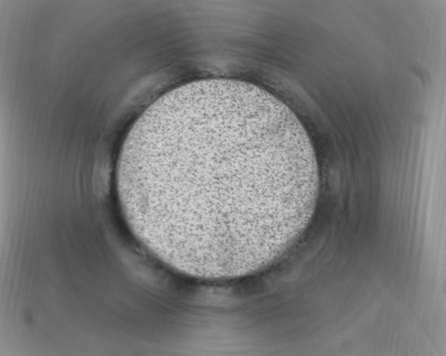 X0000113630694200910162016