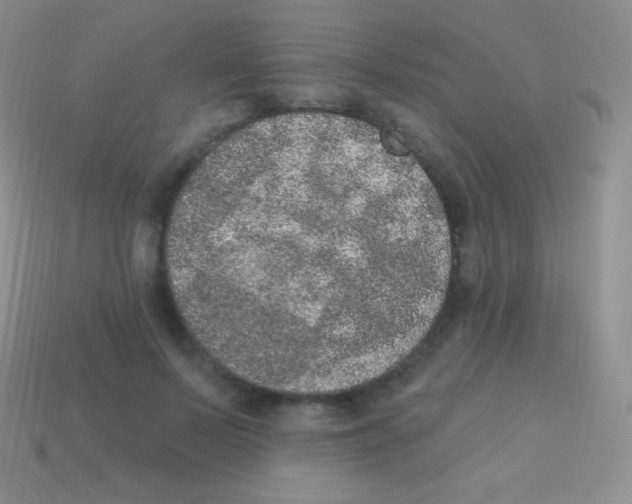 X0000113630695200910162016