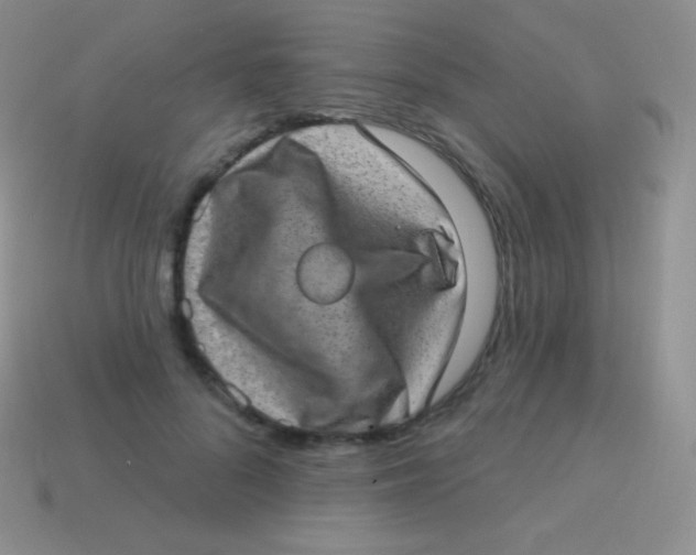 X0000113630696200910162016