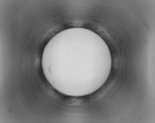 X0000113630697200910162016