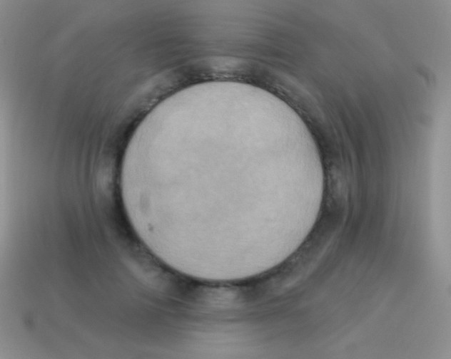 X0000113630698200910162016