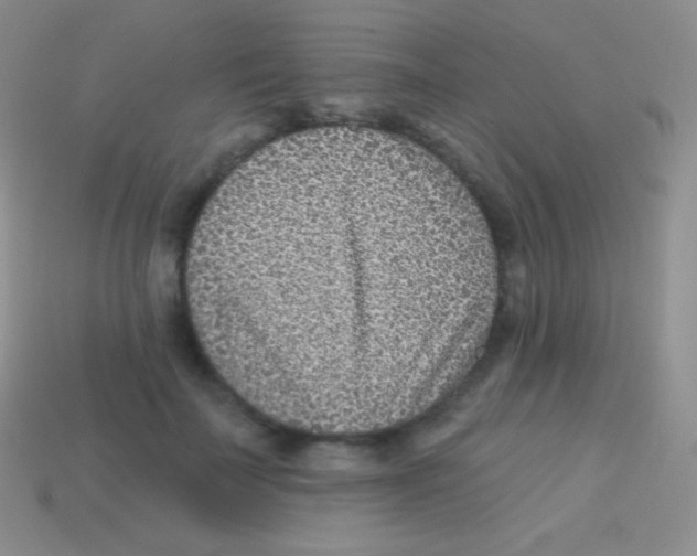 X0000113630699200910162016