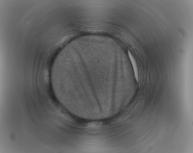 X0000113630700200910162016