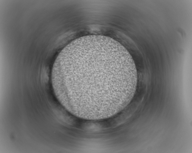 X0000113630702200910162016