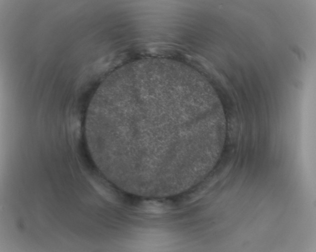 X0000113630703200910162016