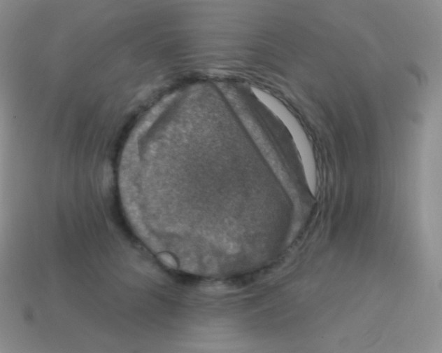 X0000113630704200910162016