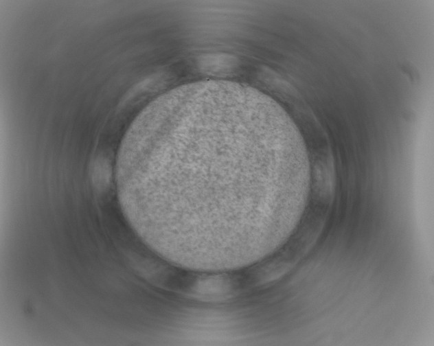 X0000113630705200910162016