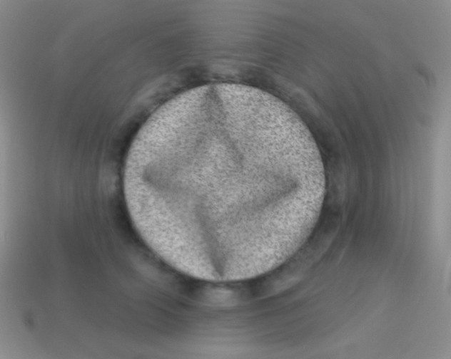 X0000113630706200910162016