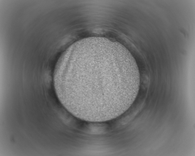 X0000113630707200910162016