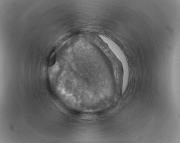 X0000113630708200910162016