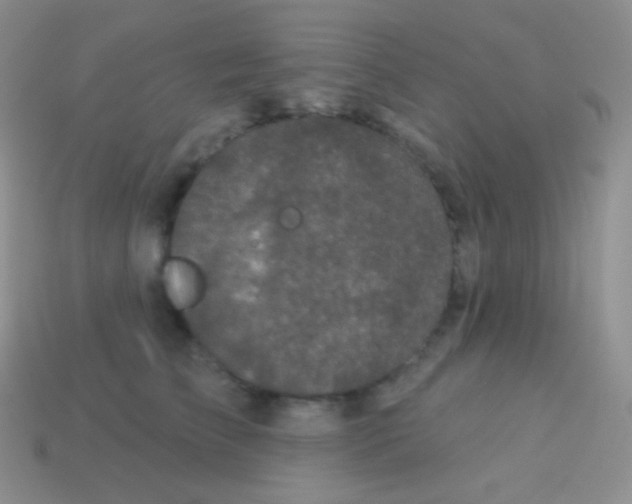 X0000113630709200910162016