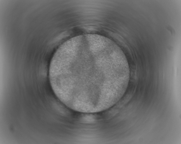 X0000113630710200910162016