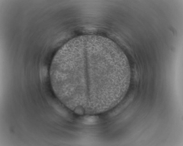 X0000113630711200910162016