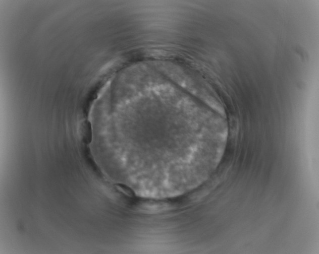 X0000113630712200910162016