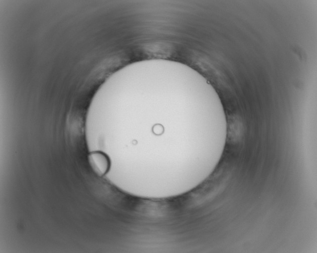 X0000113630713200910162016