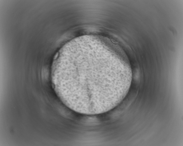 X0000113630715200910162016