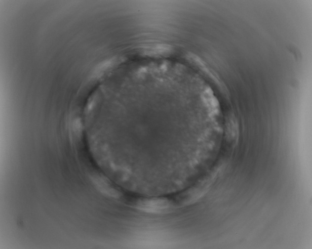 X0000113630716200910162016