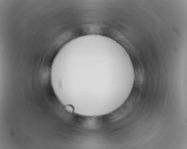 X0000113630717200910162016