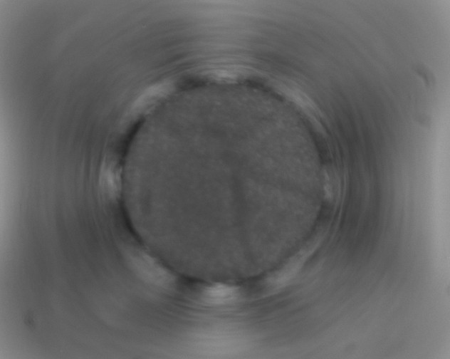 X0000113630718200910162016