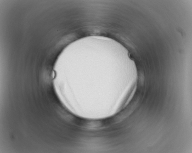 X0000113630719200910162016