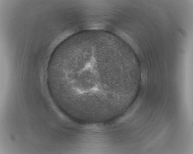 X0000113630721200910162015