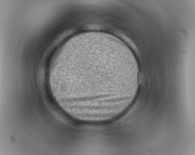 X0000113630722200910162015