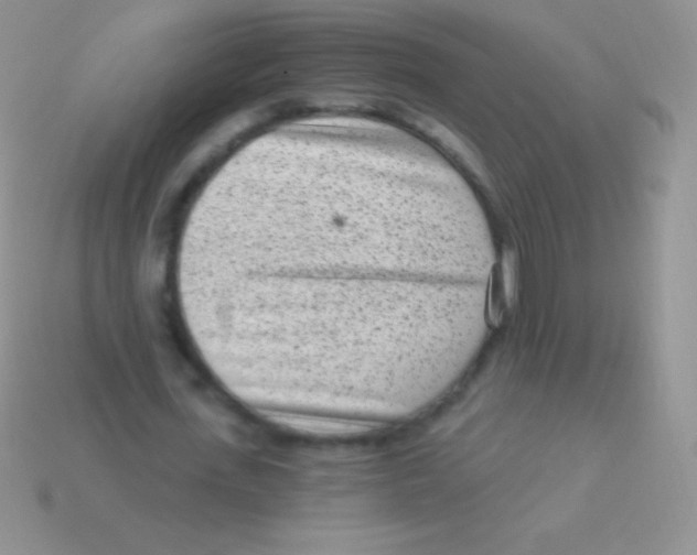 X0000113630723200910162015