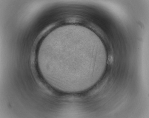 X0000113630724200910162015